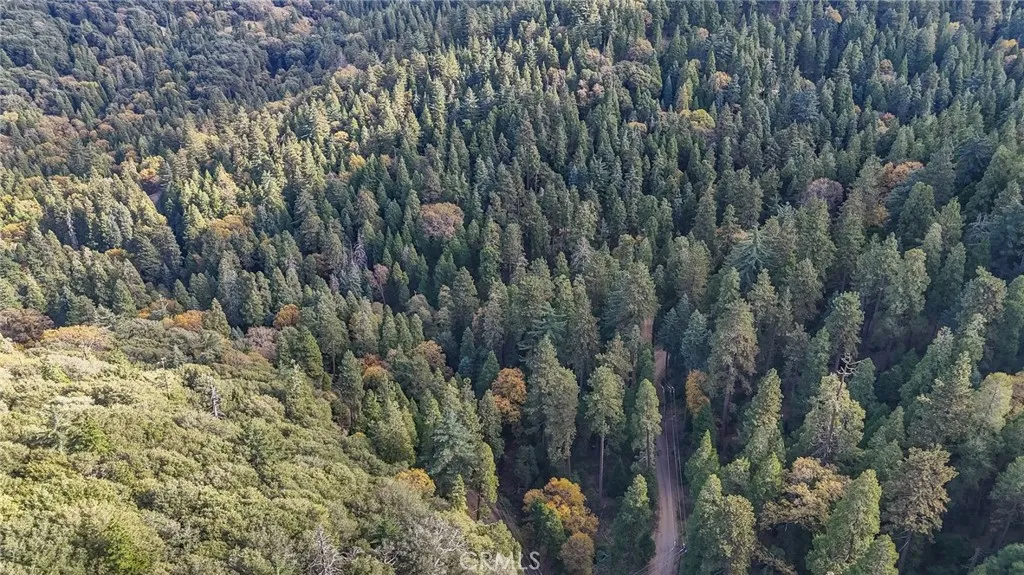 Additional image 14 of Deer Run Road, Cedarpines Park, CA 92322