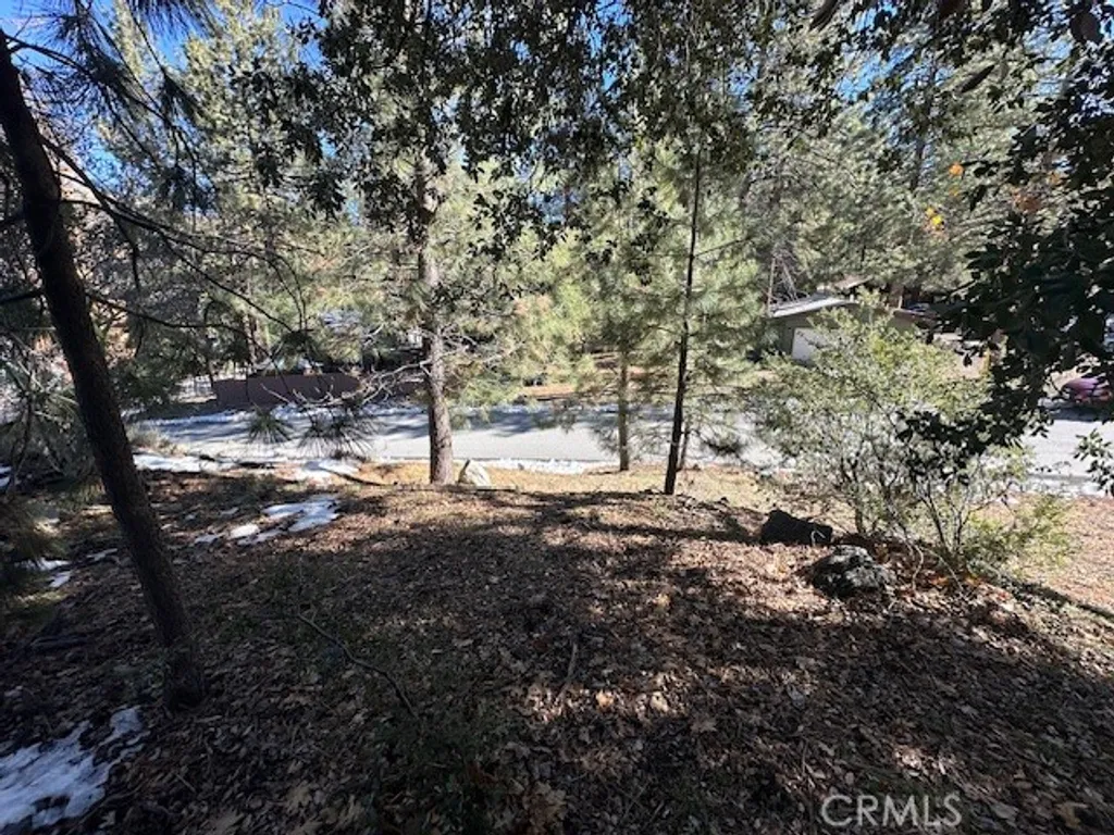 Property image for Flume Canyon, Wrightwood, CA 92397