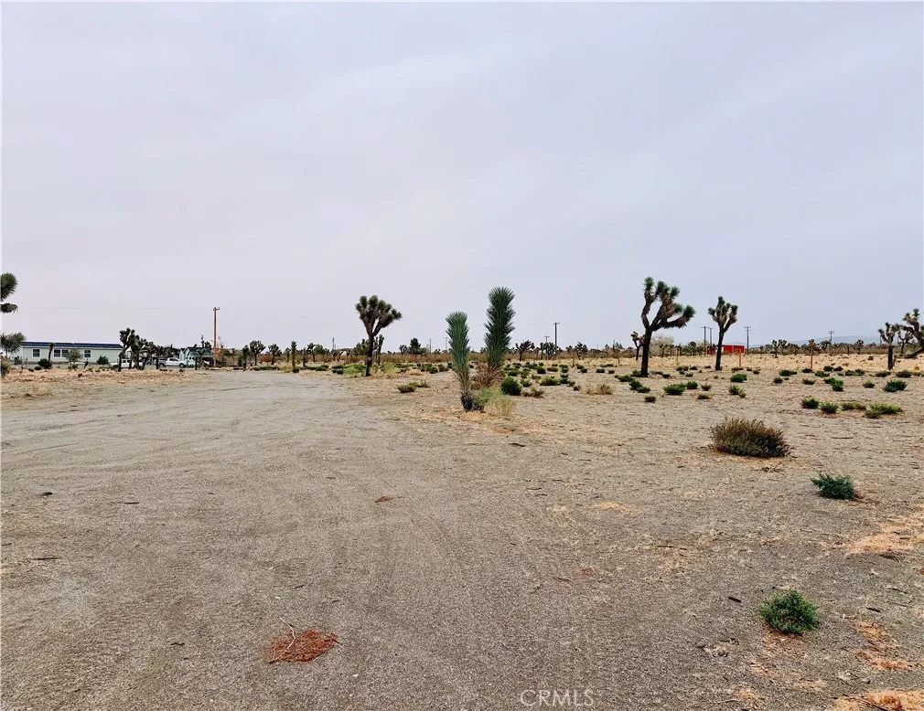 Additional image 26 of 12452 Golden View Rd, Pinon Hills, CA 92372