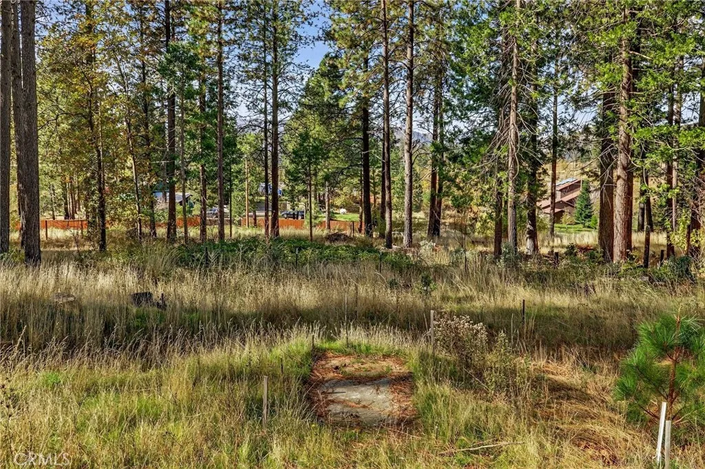 Additional image 64 of 4120 Jack Dale Way, Oroville, CA 95965