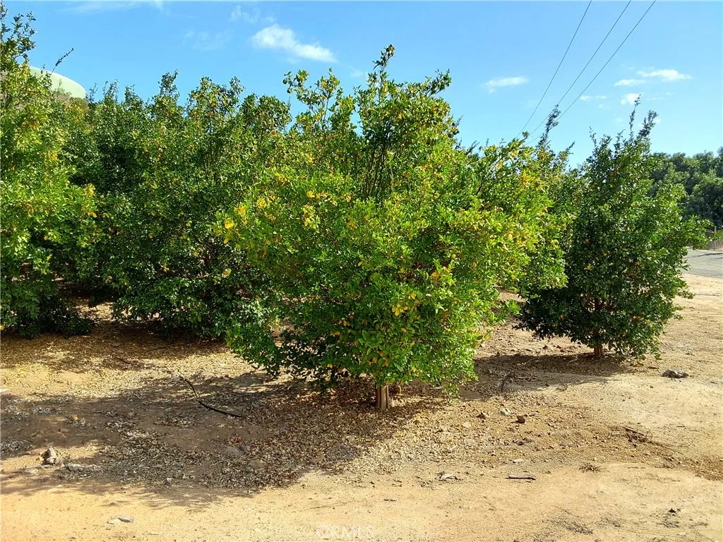 Additional image 40 of 3 Via Vaquero, Temecula, CA 92590