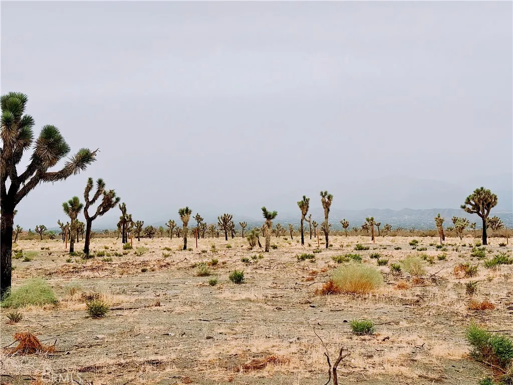 Additional image 22 of 12452 Golden View Rd, Pinon Hills, CA 92372