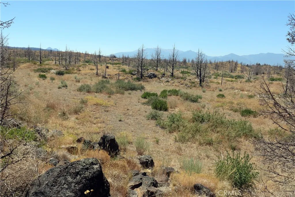 Additional image 18 of Juniper Valley Drive, Weed, CA 96094