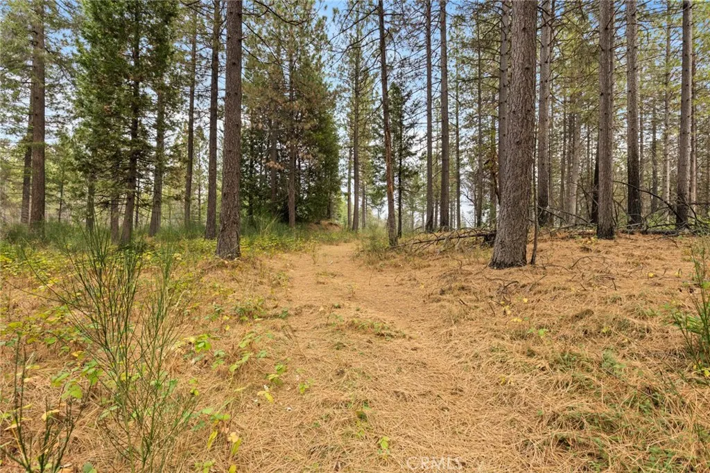 Additional image 6 of Old Forbestown Road, Forbestown, CA 95941