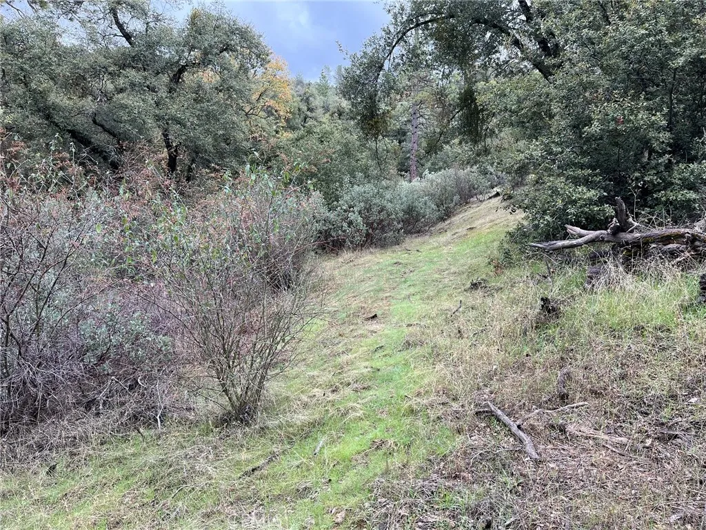 Additional image 6 of Jean Road E, Oakhurst, CA 93644