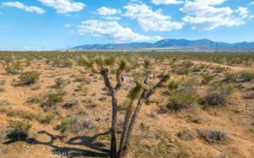 Additional image 17 of 10 171st E, Palmdale, CA 93591