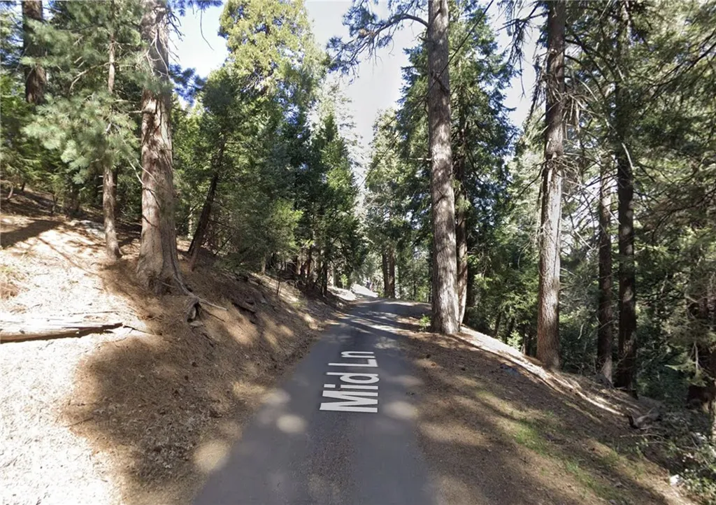 Additional image 2 of 25547 Mid Ln, Twin Peaks, CA 92391