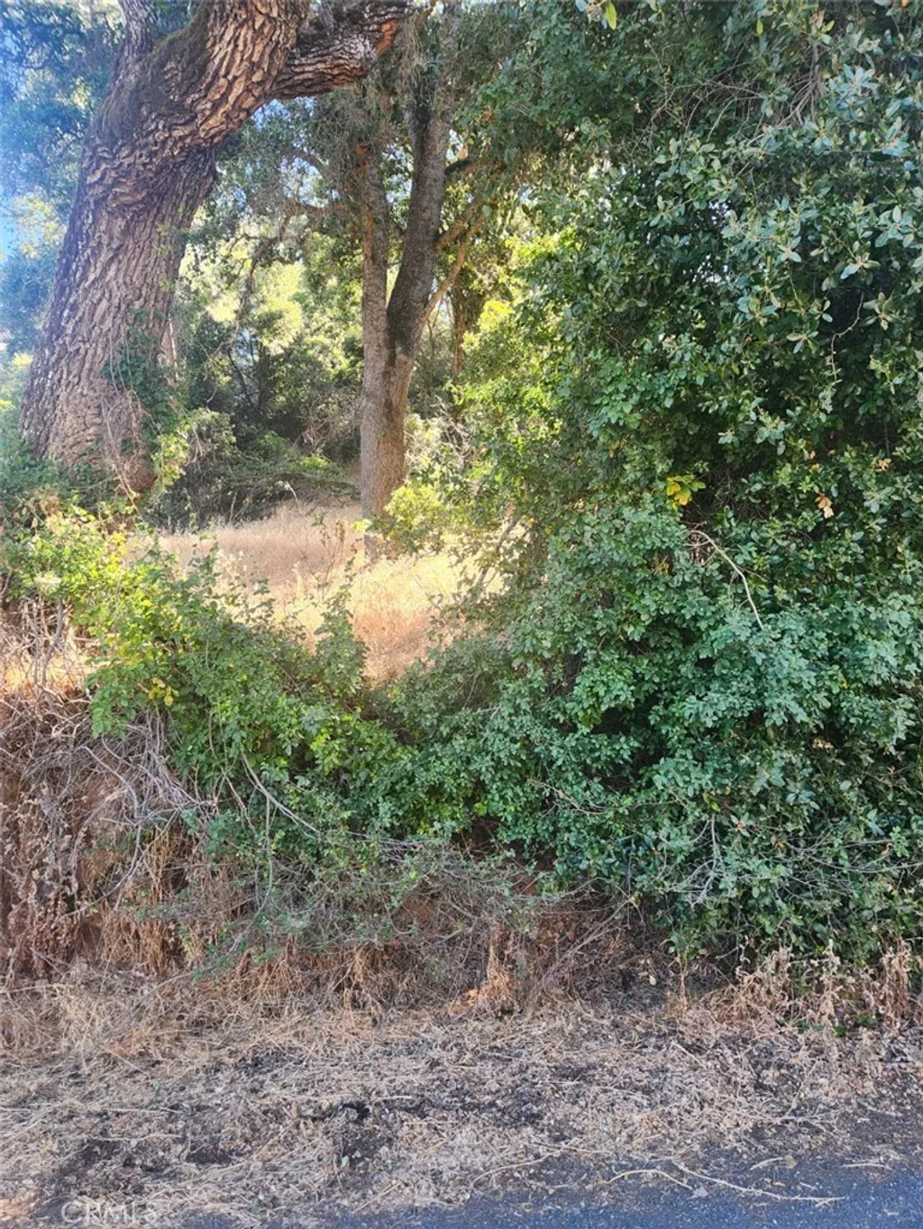 Property image for 4010 Foothill Dr, Lucerne, CA 95458