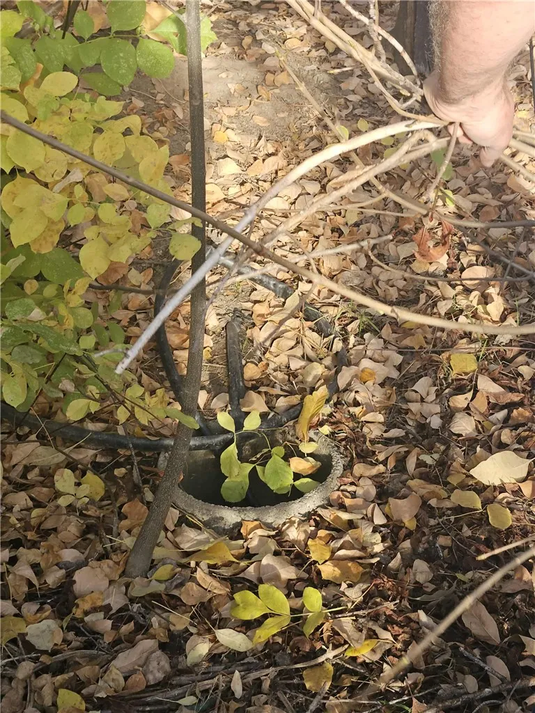 Additional image 45 of 58111 Lark Ln, North Fork, CA 93643