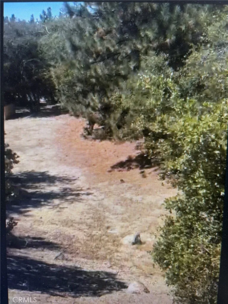 Additional image 21 of 26770 Saunders Meadow Rd, Idyllwild, CA 92549