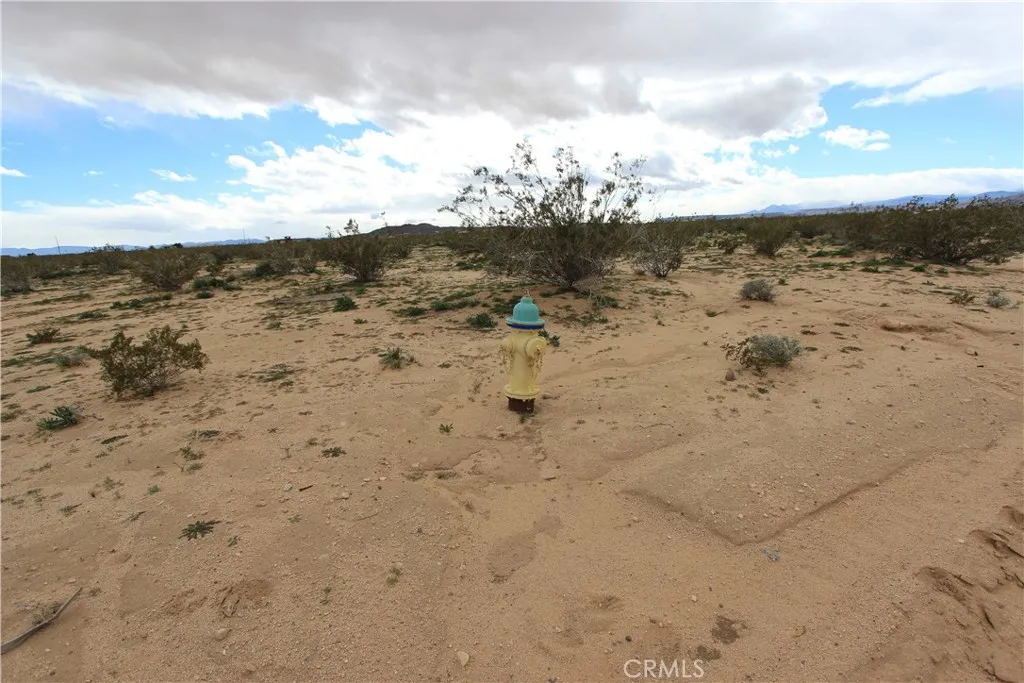 Additional image 8 of Mallow, Landers, CA 92285