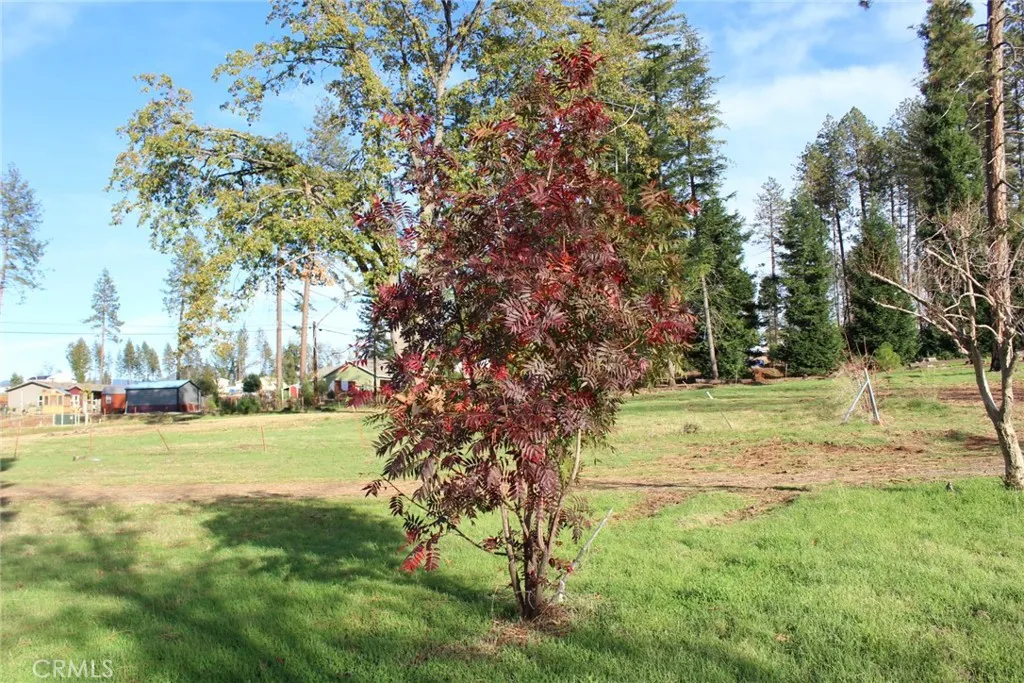 Additional image 8 of 676 Meyers Ln, Paradise, CA 95969