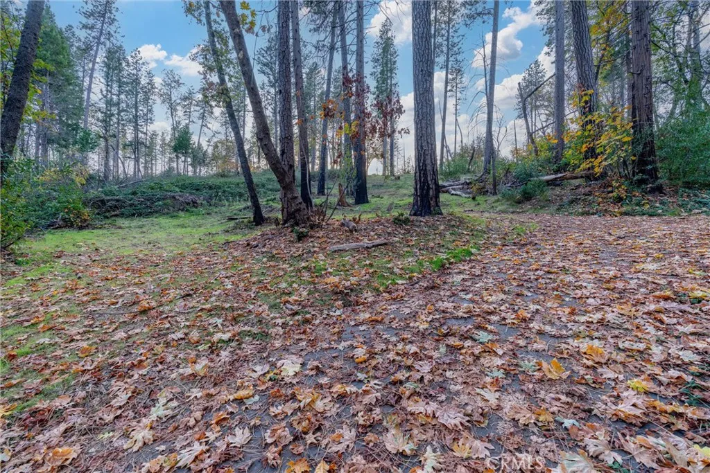 Additional image 23 of 1770 Heynen Rd, Paradise, CA 95969