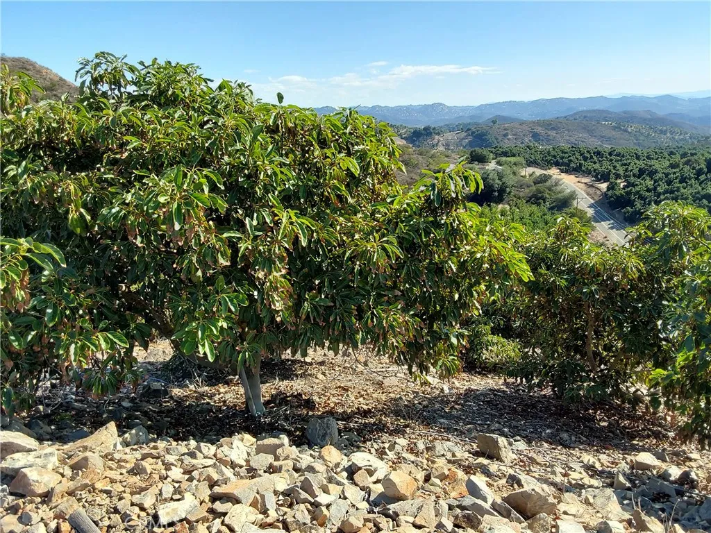 Additional image 57 of 3 Via Vaquero, Temecula, CA 92590