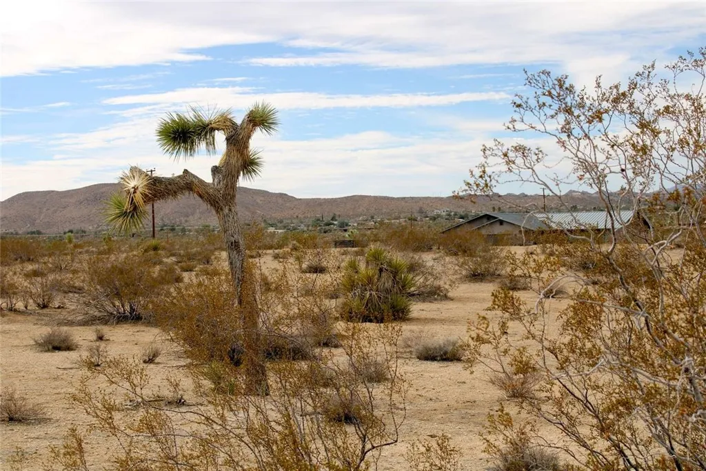 Additional image 10 of 45907 Anita Avenue, Yucca Valley, CA 92284