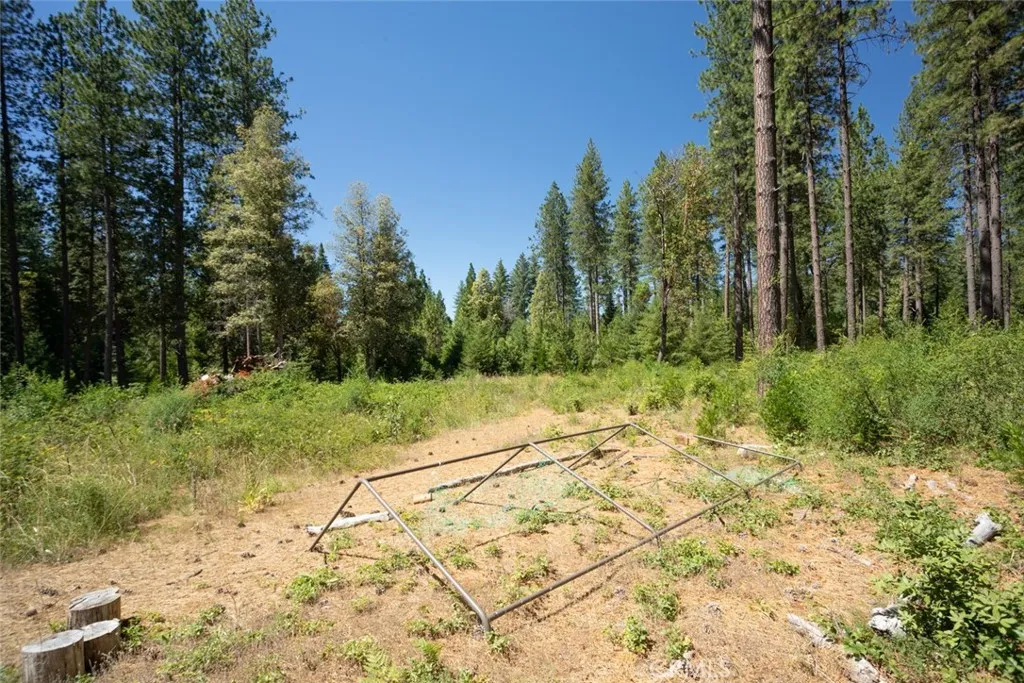 Additional image 67 of forbestown rd, Forbestown, CA 95941