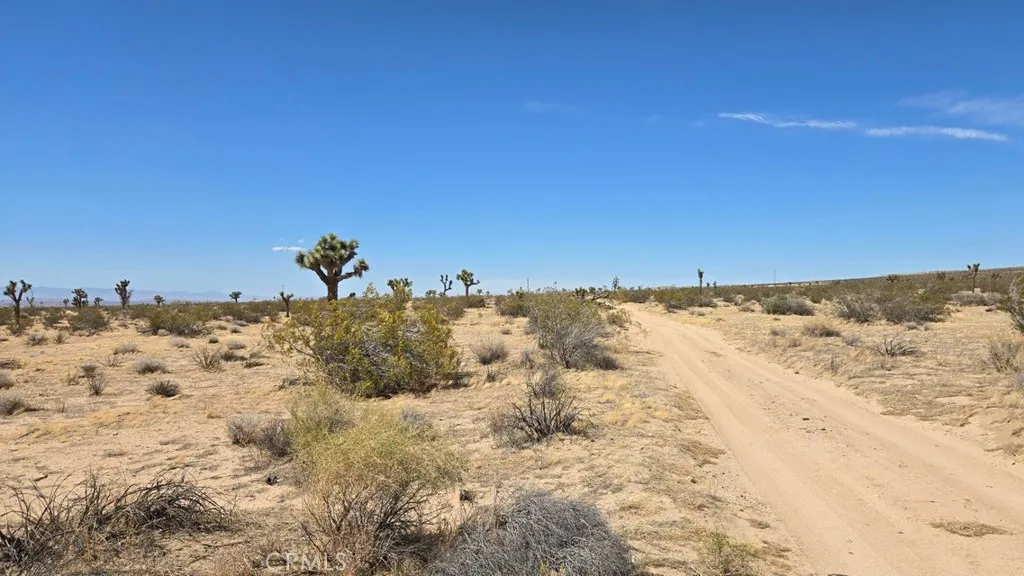 Additional image 16 of 147th St E vicinity Capleton Dr (Ave G4), Lancaster, CA 93535