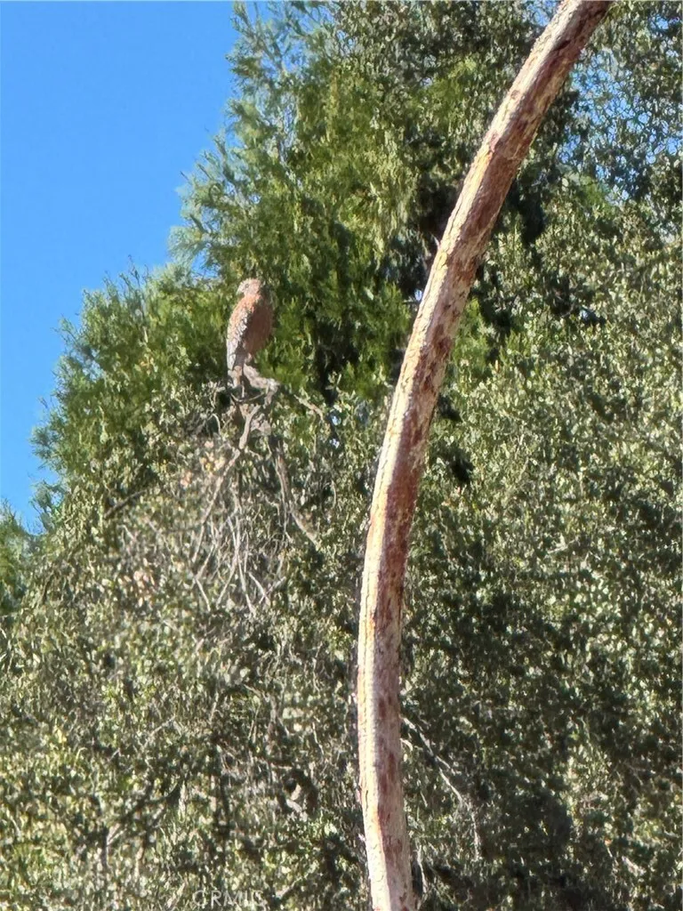 Additional image 86 of Arroyo Road, Lake Elsinore, CA 92530