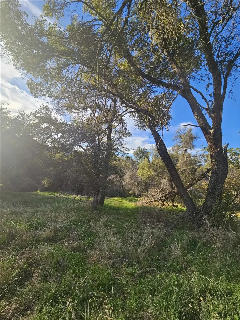 Additional image 54 of 58111 Lark Ln, North Fork, CA 93643