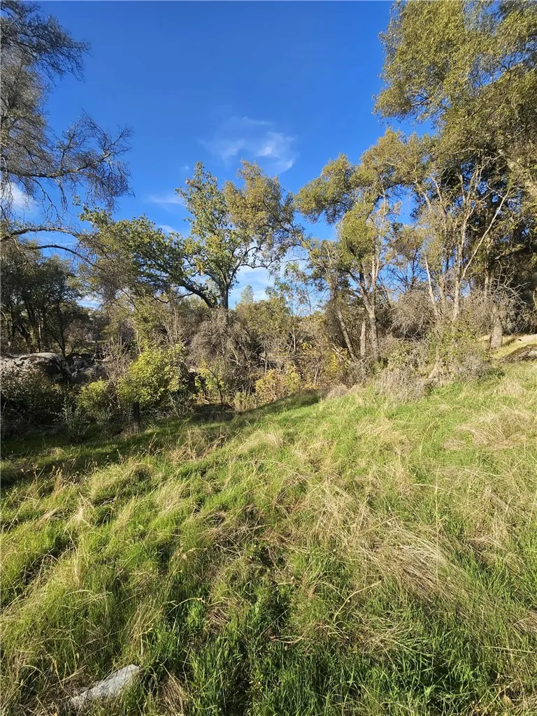 Additional image 42 of 58111 Lark Ln, North Fork, CA 93643