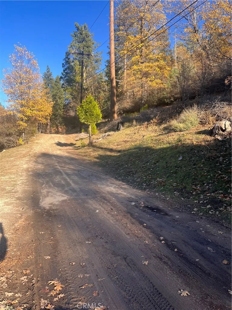 Additional image 11 of 29834 Juniper Drive, Cedar Glen, CA 92321