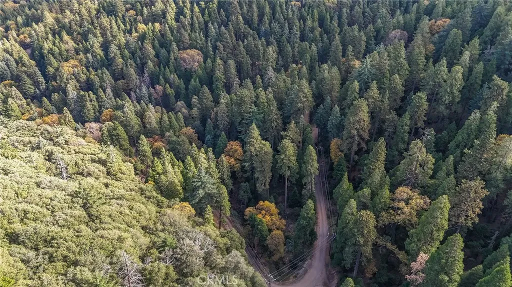 Additional image 7 of Deer Run Road, Cedarpines Park, CA 92322