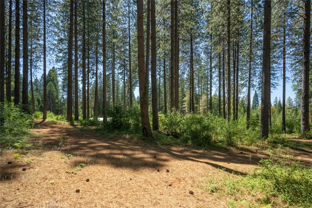 Additional image 62 of forbestown rd, Forbestown, CA 95941