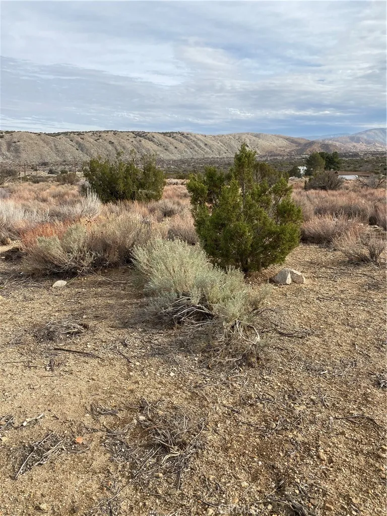 Additional image 26 of 14 E Vac/Z14E Lepage Ranch Rd/Vic,, Juniper Hills, CA 93543