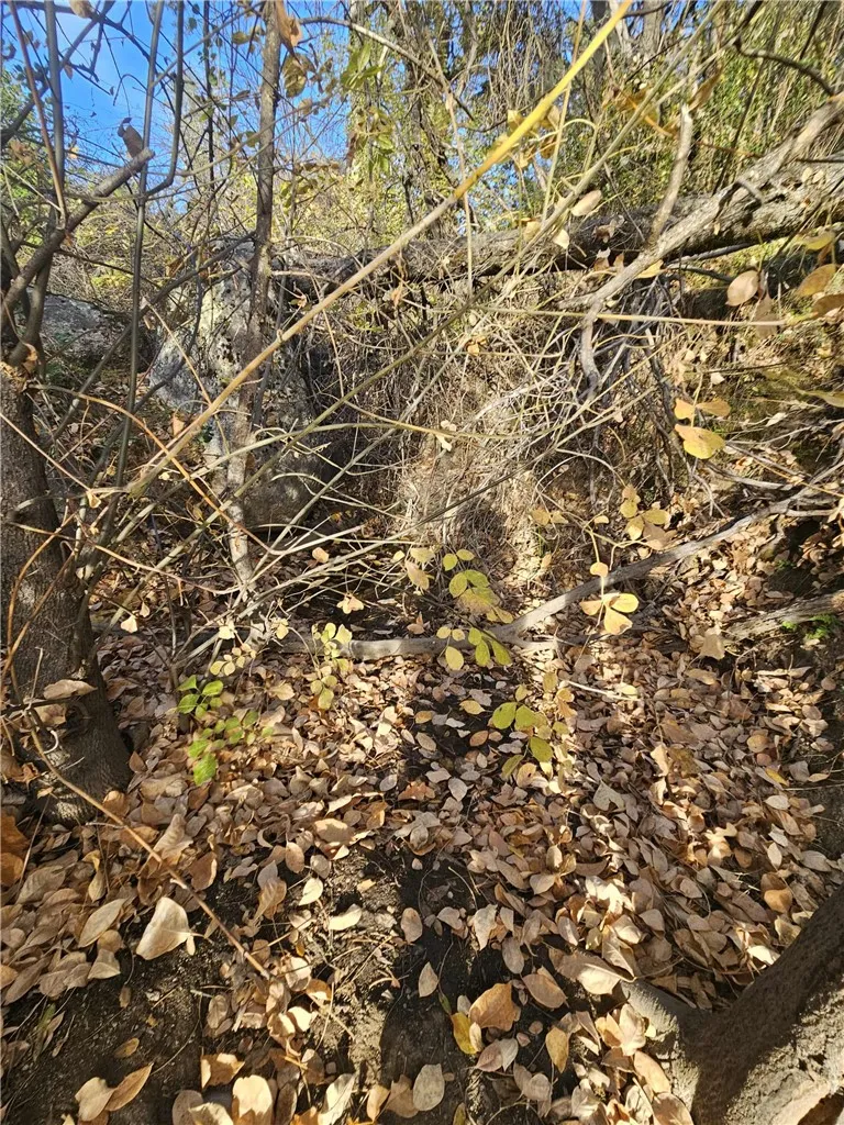 Additional image 46 of 58111 Lark Ln, North Fork, CA 93643