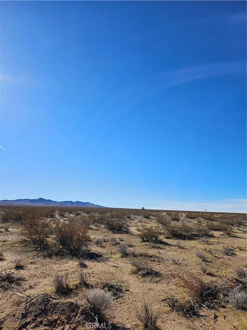 Property image for Buckthorne Canyon Road, Adelanto, CA 92301