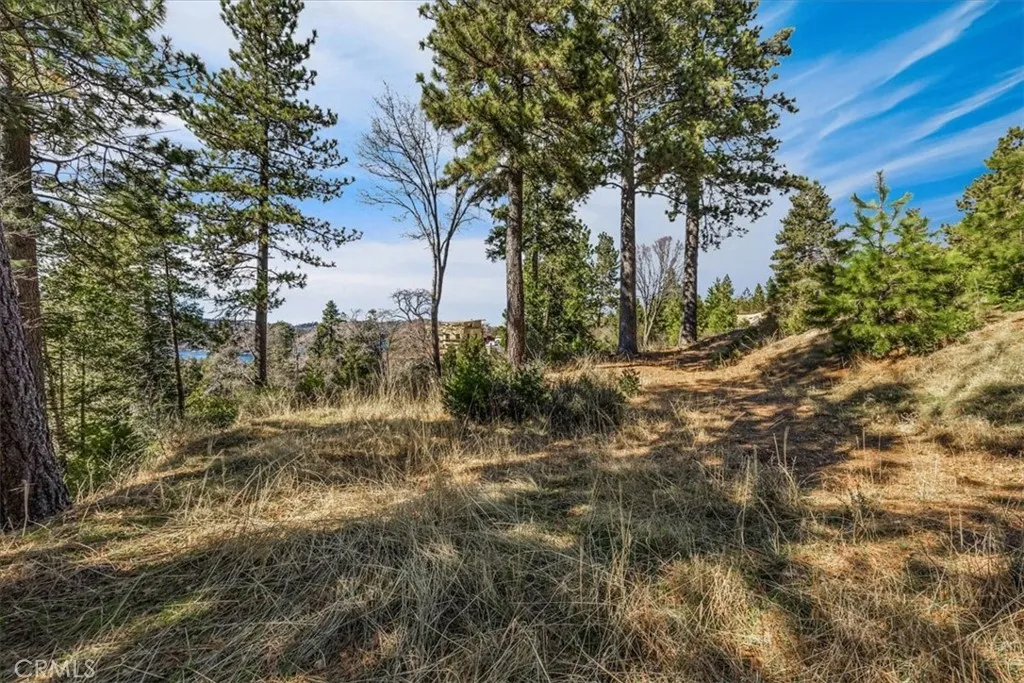 Additional image 79 of 109 Mill Pond Rd, Lake Arrowhead, CA 92352