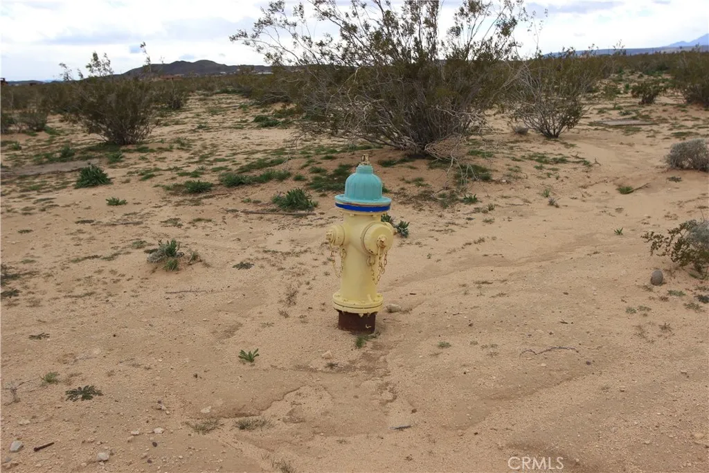 Additional image 5 of Mallow, Landers, CA 92285