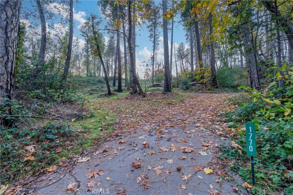 Additional image 21 of 1770 Heynen Rd, Paradise, CA 95969