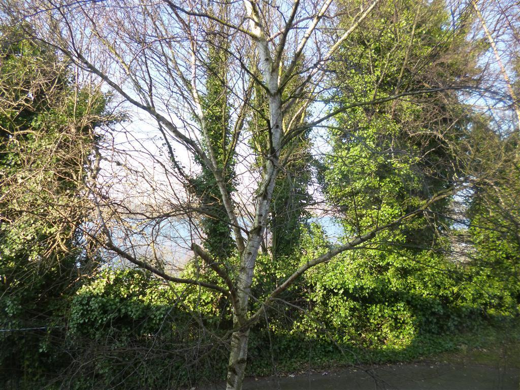 Additional image 7 of Mariner Avenue, Edgbaston, BIRMINGHAM