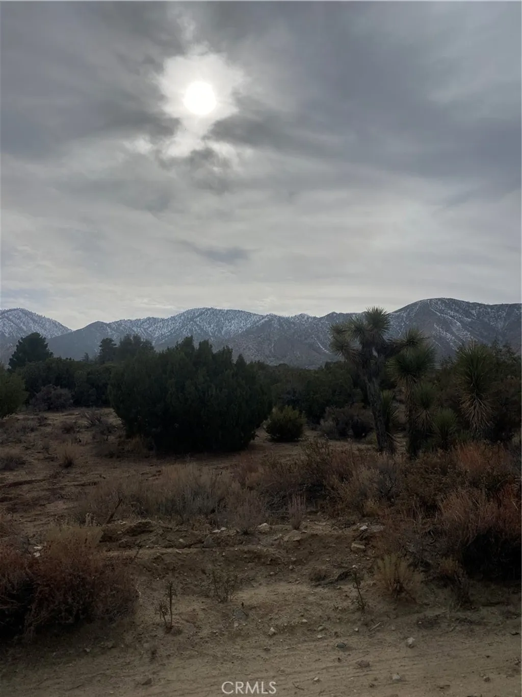 Additional image 10 of 14 E Vac/Z14E Lepage Ranch Rd/Vic,, Juniper Hills, CA 93543