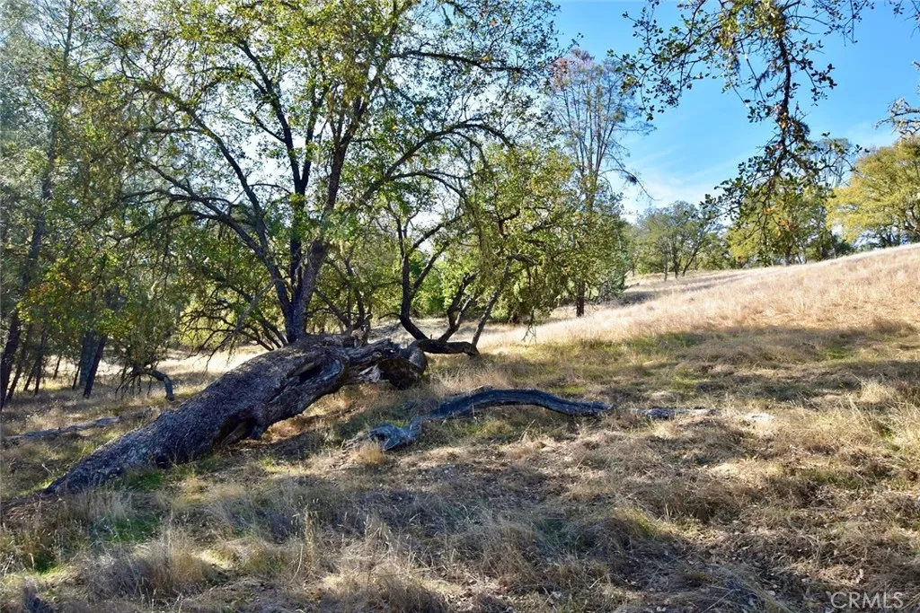 Additional image 6 of 47811 Sapaque Valley Rd, Bradley, CA 93426