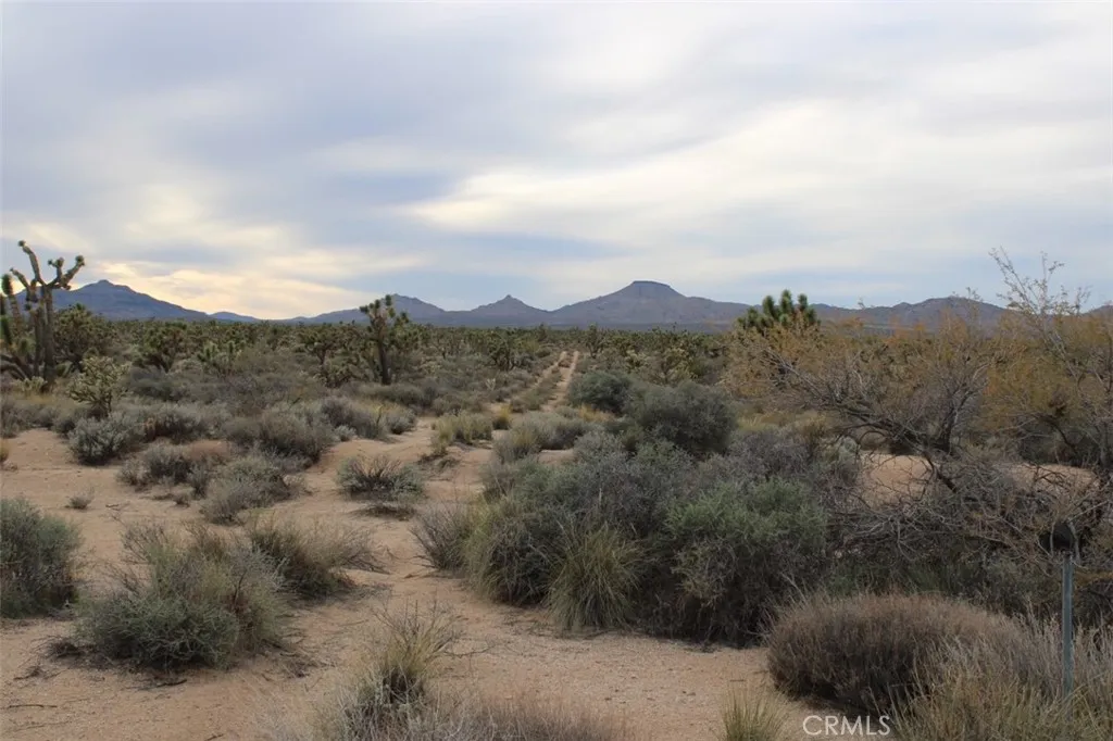 Additional image 6 of Cedar Canyon, Essex, CA 92332