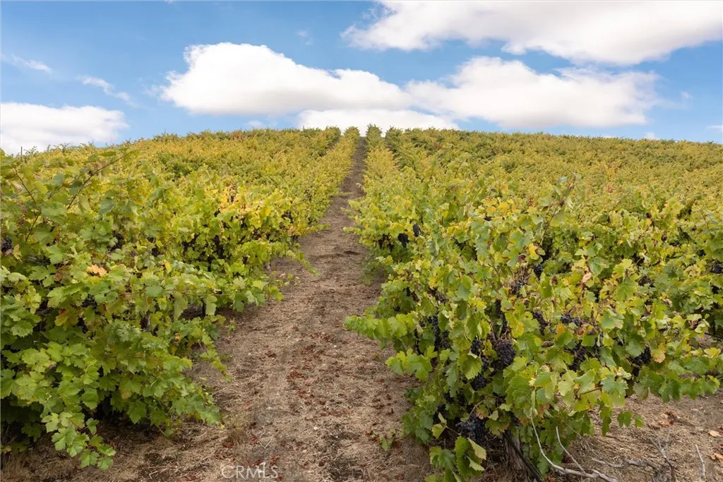 Additional image 18 of 3000 Oakdale Rd., Paso Robles, CA 93446