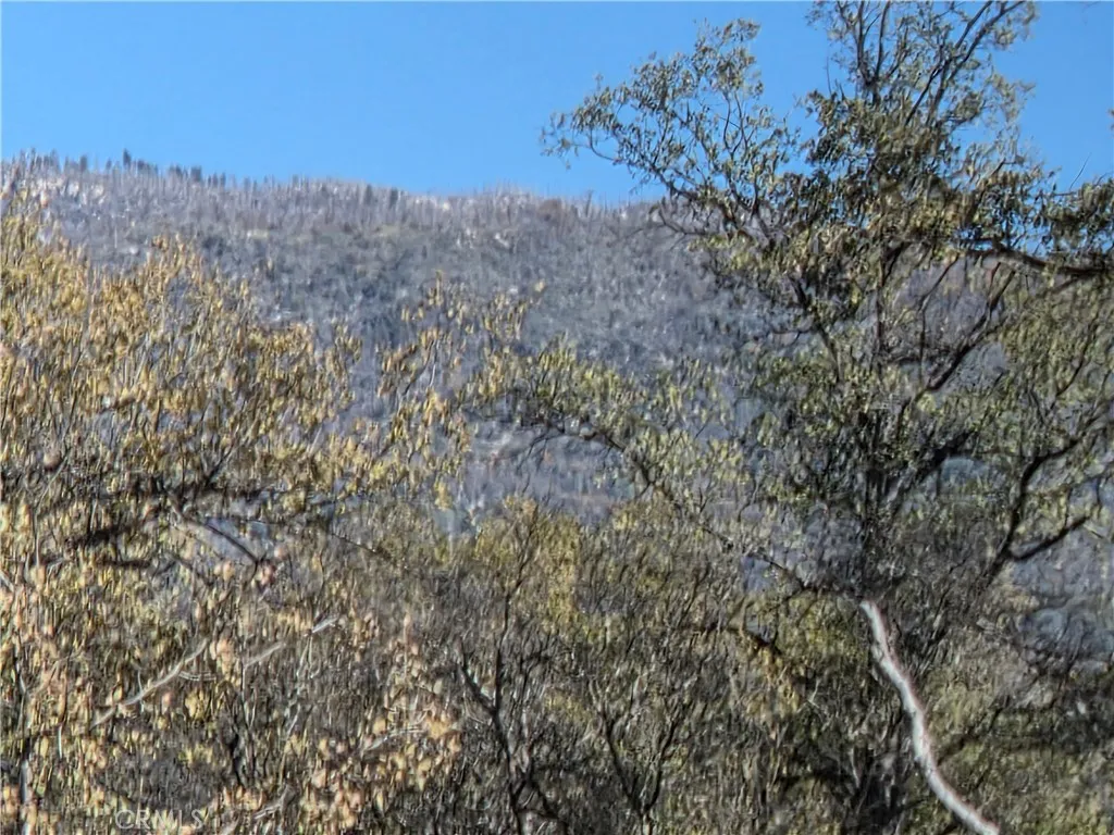 Additional image 10 of 12.19 AC Road 222, North Fork, CA 93643