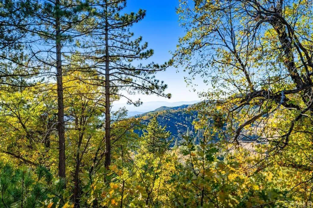 Additional image 17 of State Park Road, Palomar Mountain, CA 92060