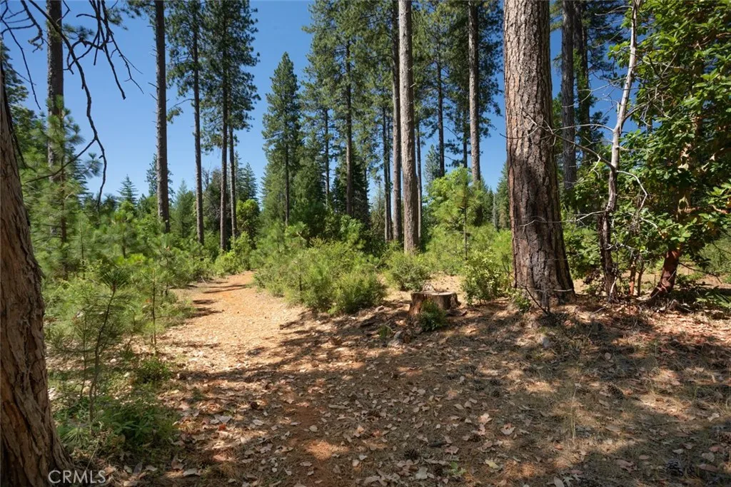 Additional image 32 of forbestown rd, Forbestown, CA 95941