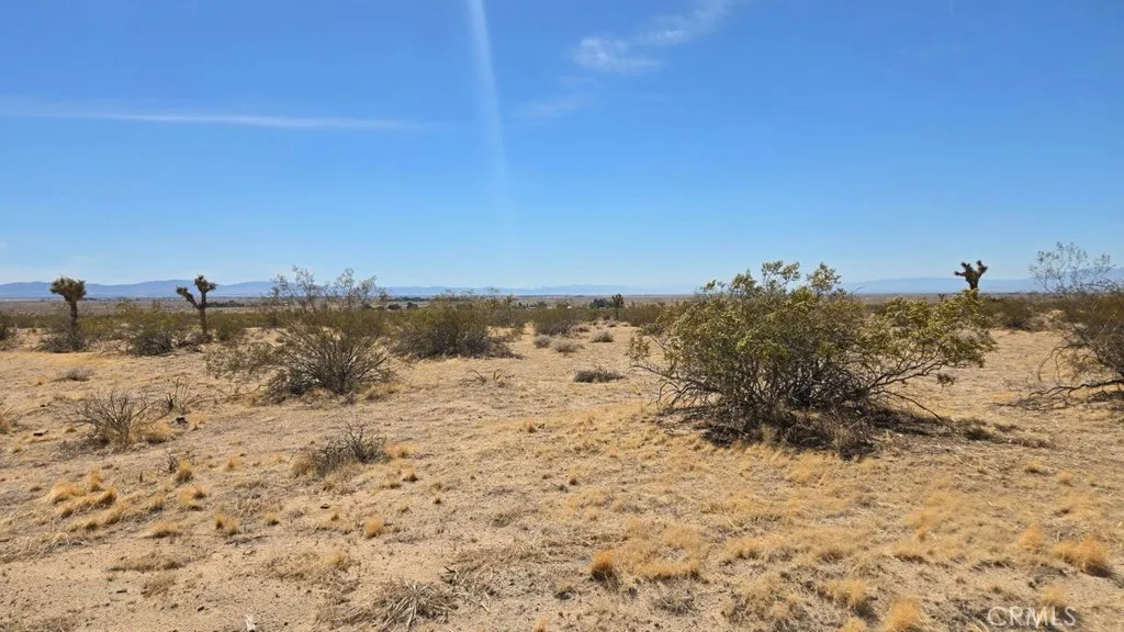 Additional image 32 of 147th St E vicinity Capleton Dr (Ave G4), Lancaster, CA 93535