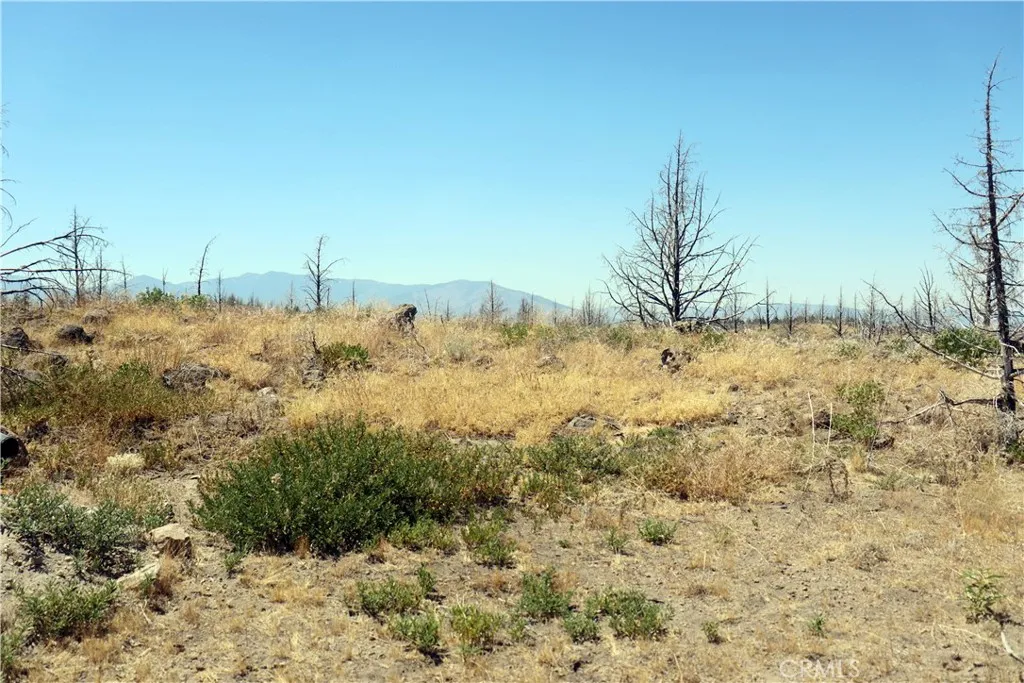 Additional image 27 of Juniper Valley Drive, Weed, CA 96094