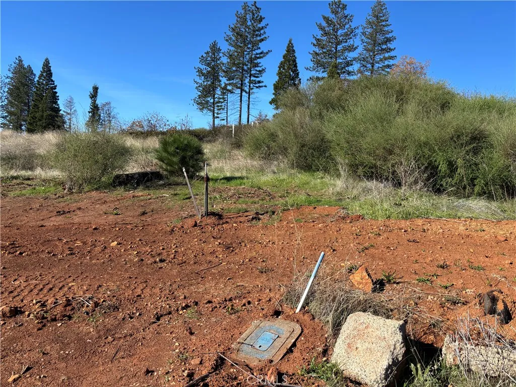 Additional image 10 of 9325 Skyway, Paradise, CA 95969