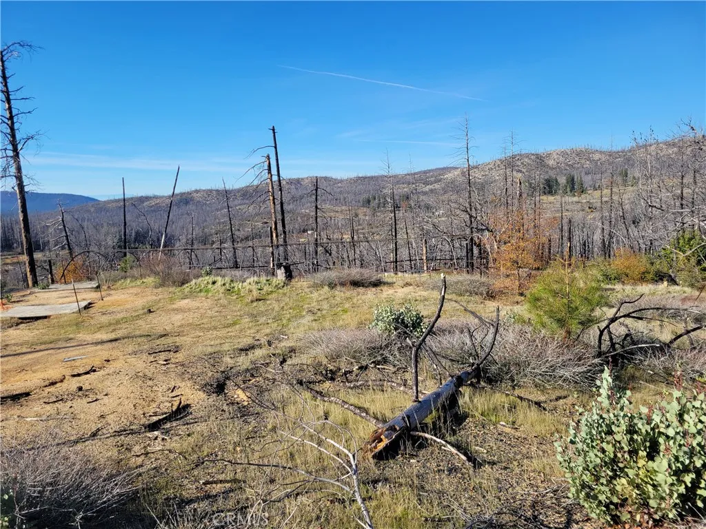 Additional image 19 of 161 Shadow Creek Road, Berry Creek, CA 95916