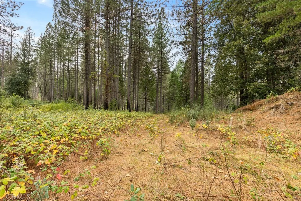 Additional image 10 of Old Forbestown Road, Forbestown, CA 95941