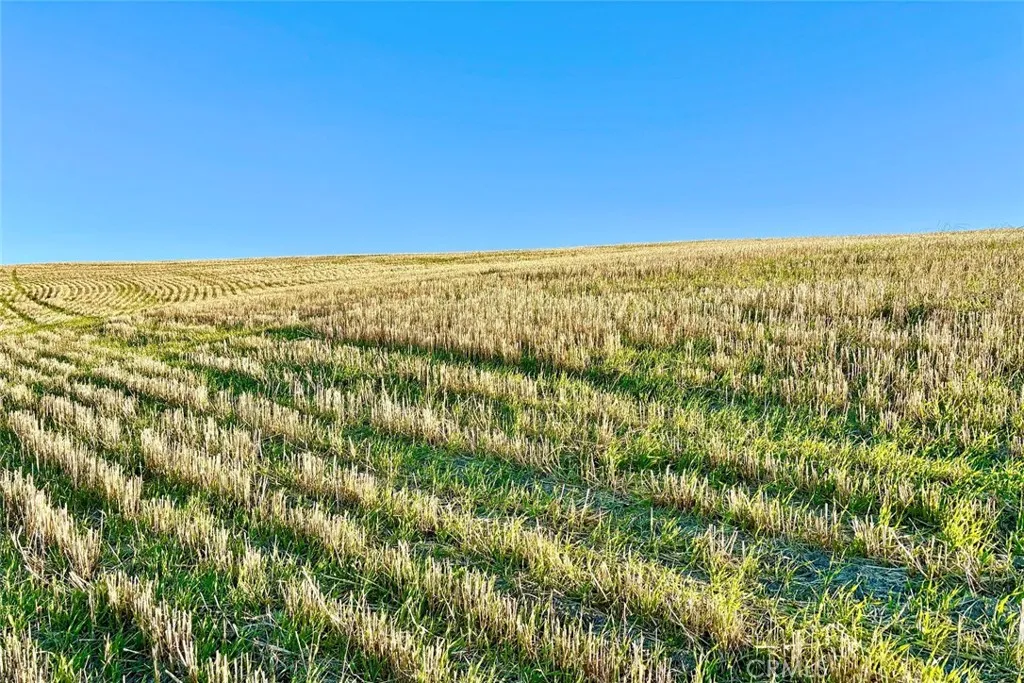 Additional image 10 of 3780 S Gillis Canyon, Shandon, CA 93461