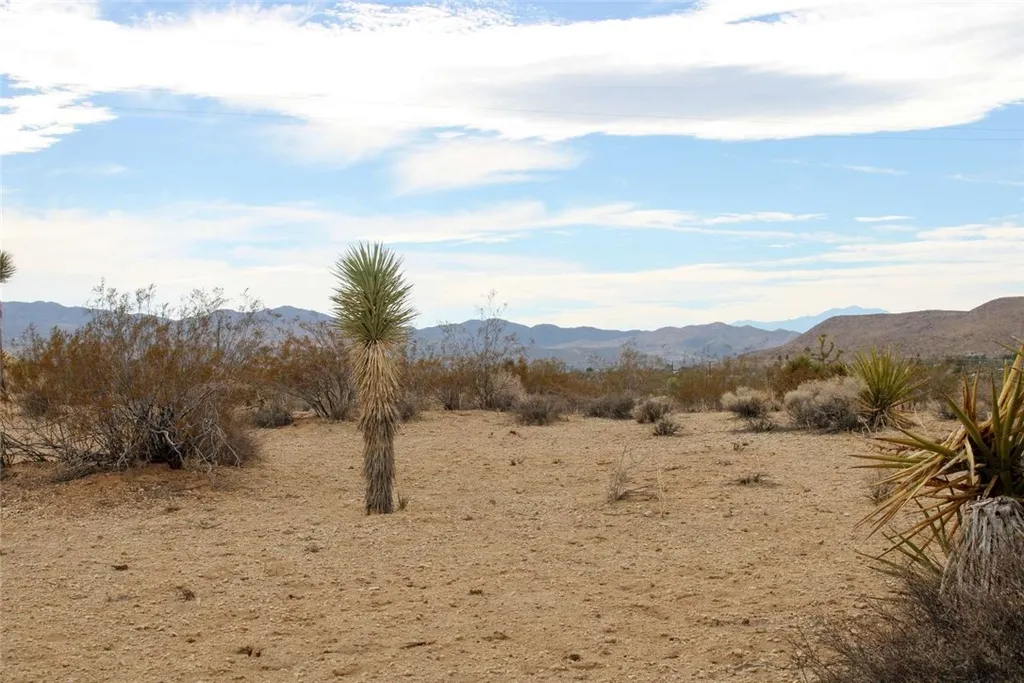 Additional image 14 of 45907 Anita Avenue, Yucca Valley, CA 92284