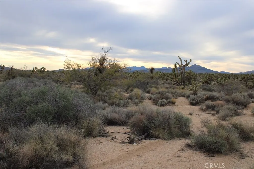 Property image for Cedar Canyon, Essex, CA 92332