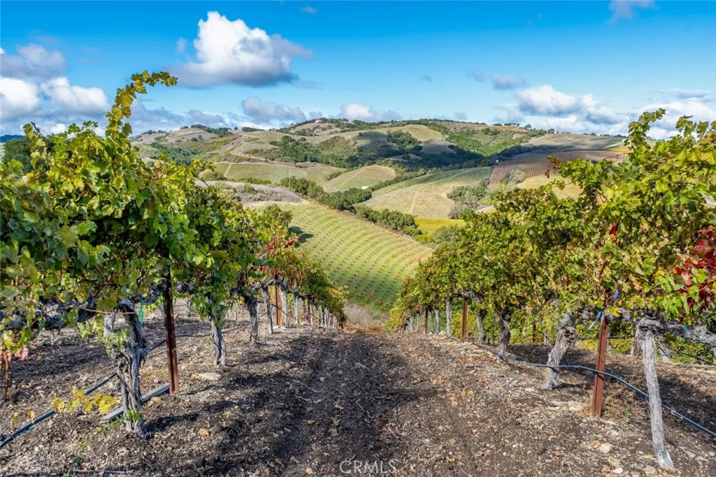 Additional image 30 of Peachy Canyon, Paso Robles, CA 93446